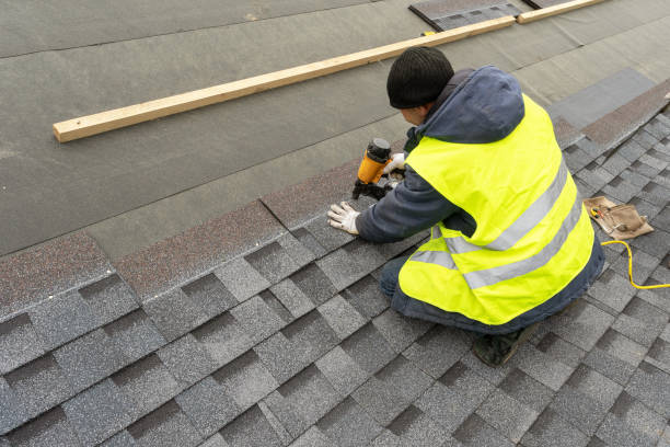Best Commercial Roofing Services  in Taylorvle, IL