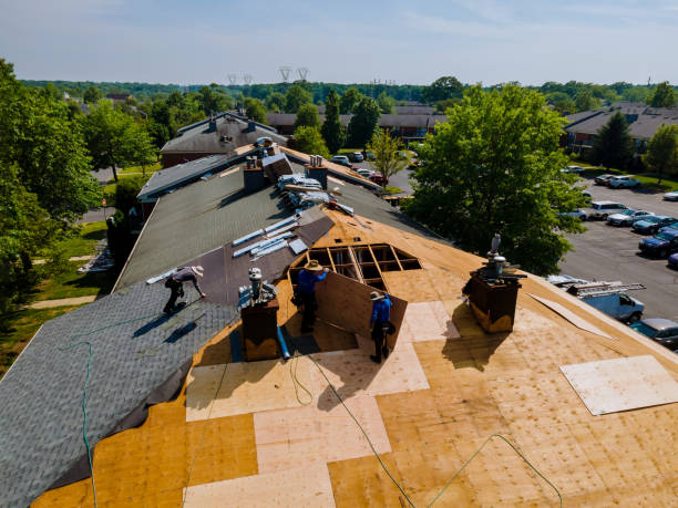 Best Flat Roof Repair Services  in Taylorvle, IL