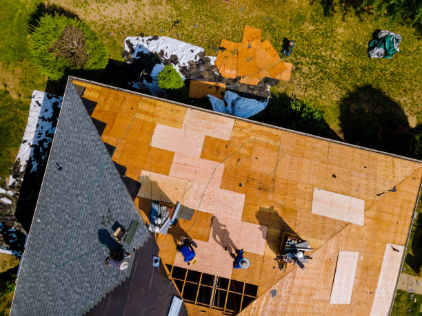 Best Roof Restoration Services  in Taylorvle, IL