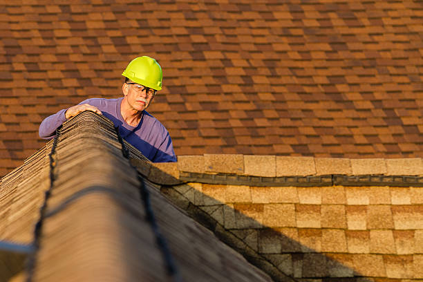 Best Metal Roofing Contractor  in Taylorvle, IL